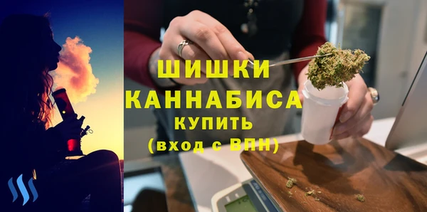 твердый Алзамай