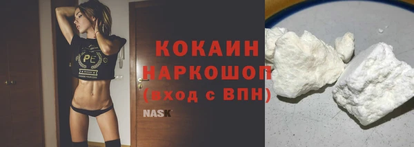 твердый Алзамай