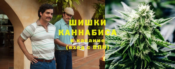 PSILOCYBIN Алексин